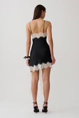 Amber Satin And Lace Mini Dress - Black/Ivory